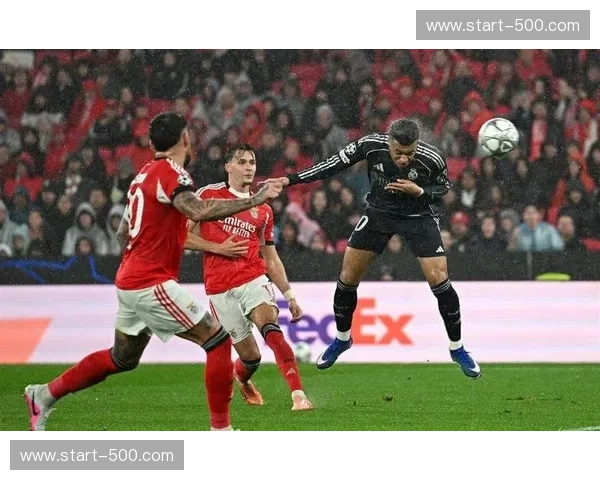 本菲卡客场2-1力克吉尔维森特,帕夫利迪斯与谢尔德鲁普建功 本菲卡客场2-1力克吉尔维森特,帕夫利迪斯与谢尔德鲁普建功